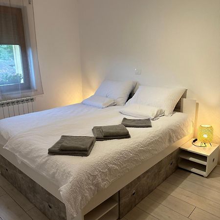 Apartma Anze Samec Dobravlje Exterior photo