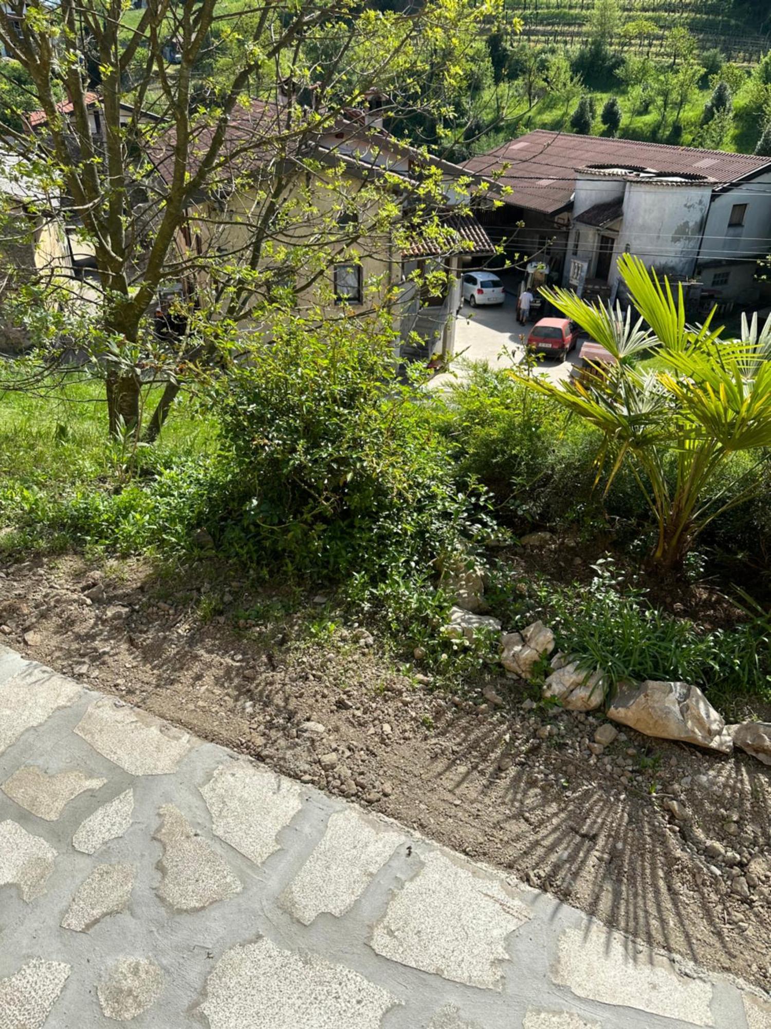Apartma Anze Samec Dobravlje Exterior photo